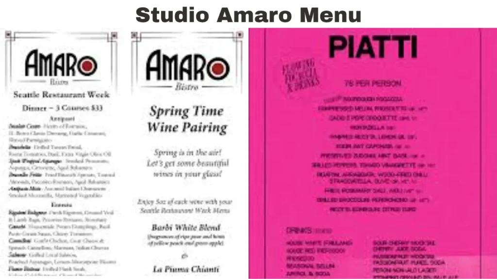 studio amaro menu