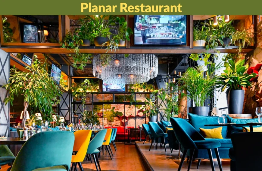 planar restaurant