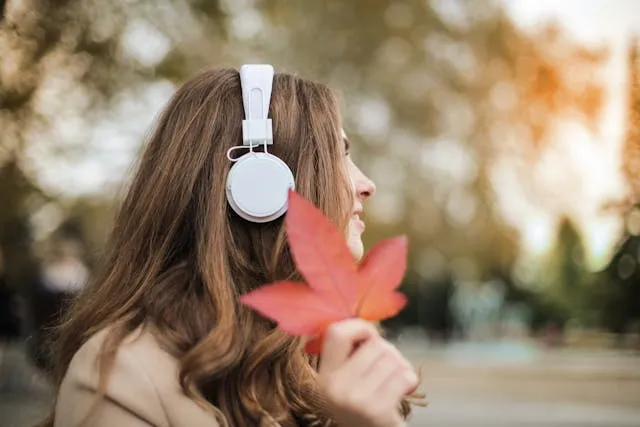Best Noise Cancelling Headphones for Focus & Relaxation