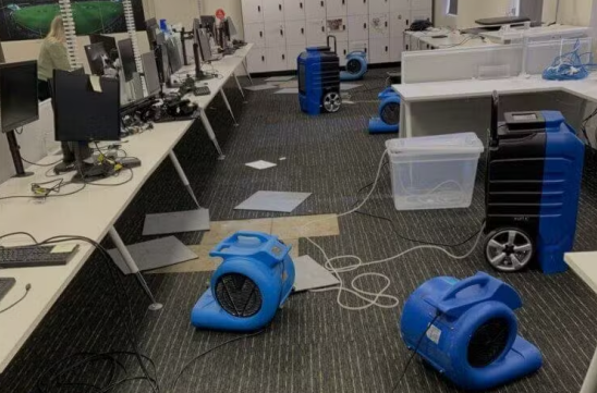 Case Studies- Water Damage Incidents in Cricket Australia's Melbourne Office