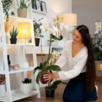 7 Home Decor Tips That Bring Comfort, Style, and Feel-Good Vibes