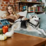Why Pet-Friendly Candles Are Becoming A Must-Have For Pet Owners