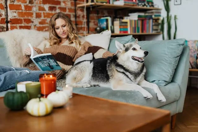 Why Pet-Friendly Candles Are Becoming A Must-Have For Pet Owners