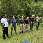 Affordable Rwanda Gorilla Trekking Tours A Budget Adventure of a Lifetime