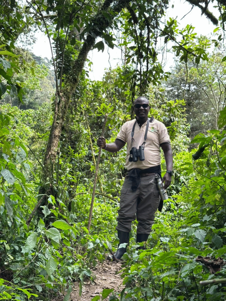 What to Expect on an Affordable Gorilla Trekking Tour